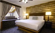 Large One Bed Bedroom